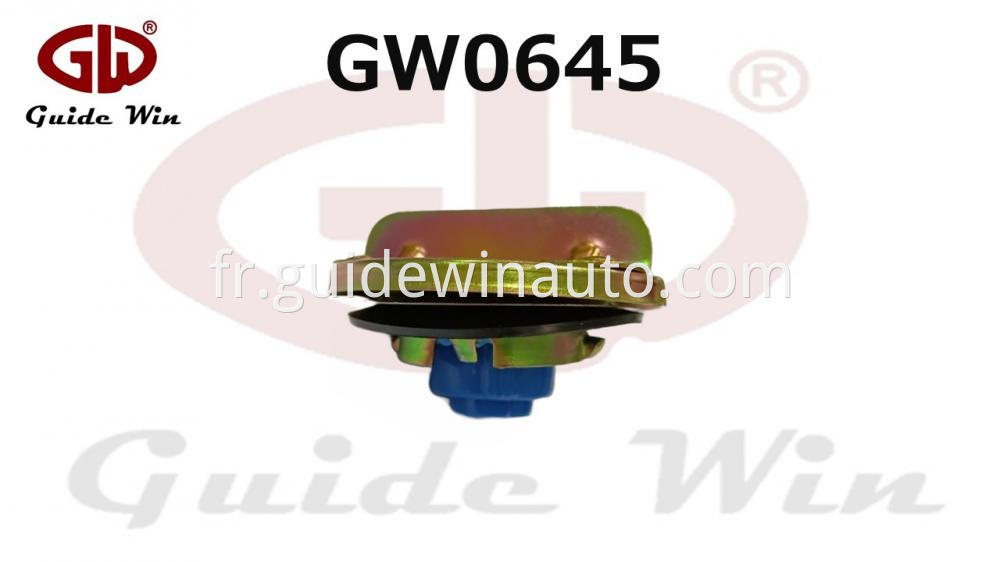 Fuel Tank Lid for EG806E